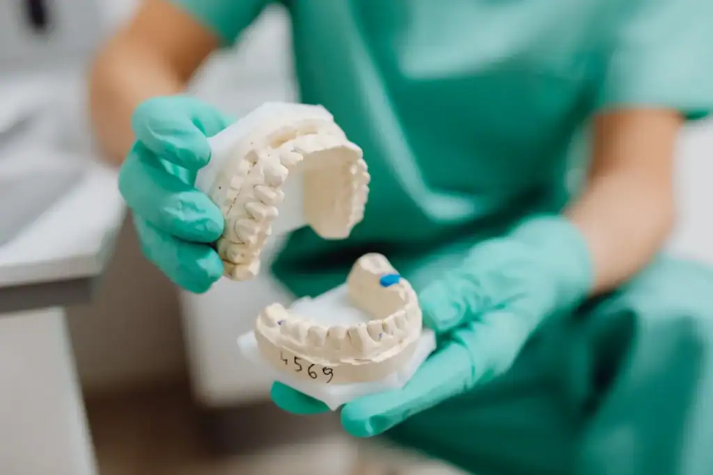 Gloved hands holding upper and lower plaster models of the teeth