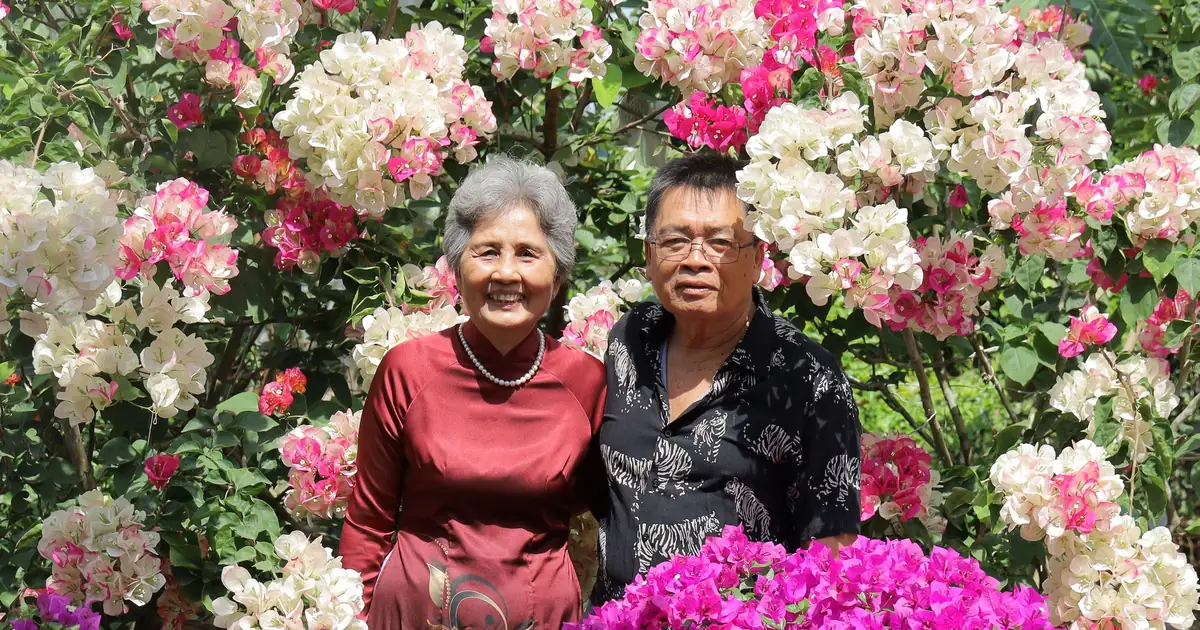 คู่สามีภรรยาสูงวัยชาวเอเชียยิ้มท่ามกลางดอกเฟื่องฟ้าสีสด